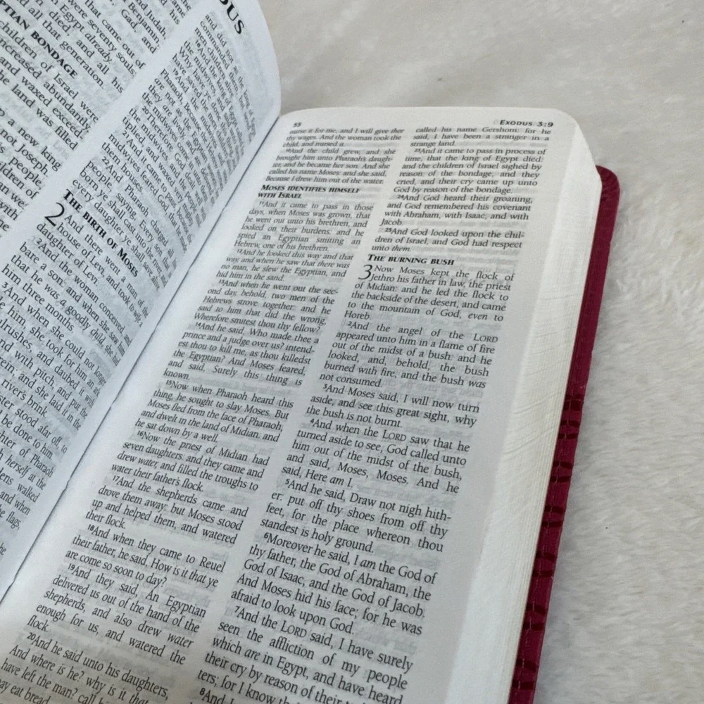 Barbour Holy Bible King James Version Pink Faux Leather KJV 9781616265229